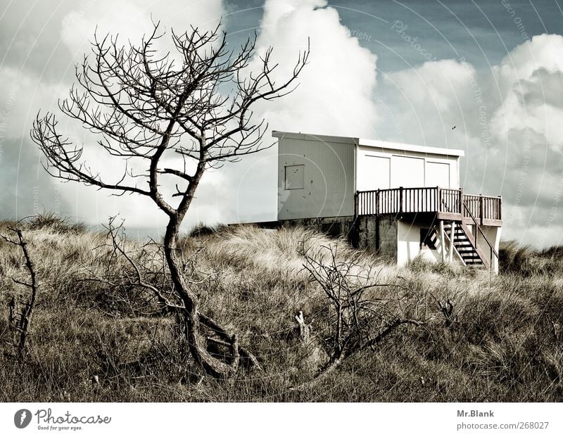 bathhouse sangatte Small Town Deserted Terrace Relaxation Loneliness Marram grass Dune Hut Tree Colour photo Exterior shot Day