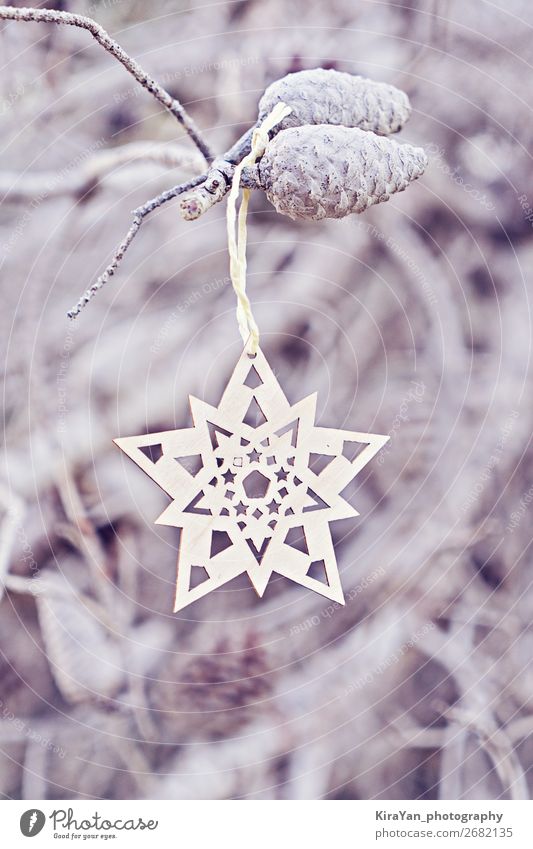 Christmas decorative wooden snowflake on branch Style Design Handcrafts Winter Decoration Feasts & Celebrations Christmas & Advent New Year's Eve Tree Wood Hang