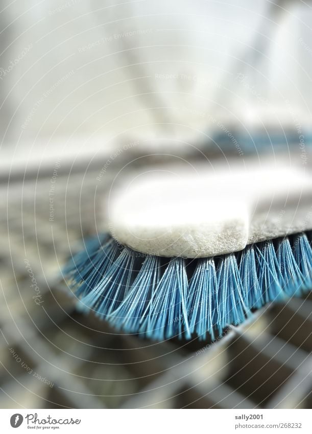 Blue cleaning Personal hygiene Brush Metal grid Cleaning Dirty Hard Cleanliness bristly Bristles cleaning day Colour photo Exterior shot Close-up Detail