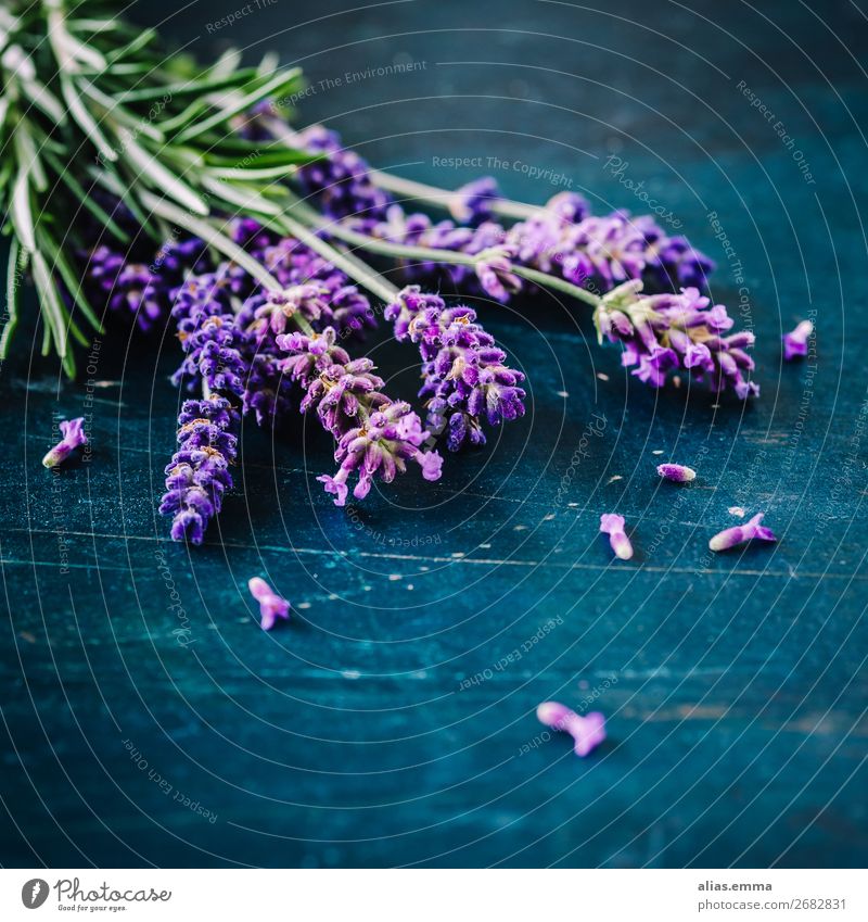 Lavender on rustic background Nature Plant Summer Flower Blue Green Violet Fragrance ethereal Aromatic Comforting Rustic blossom Rosemary herbs Colour photo