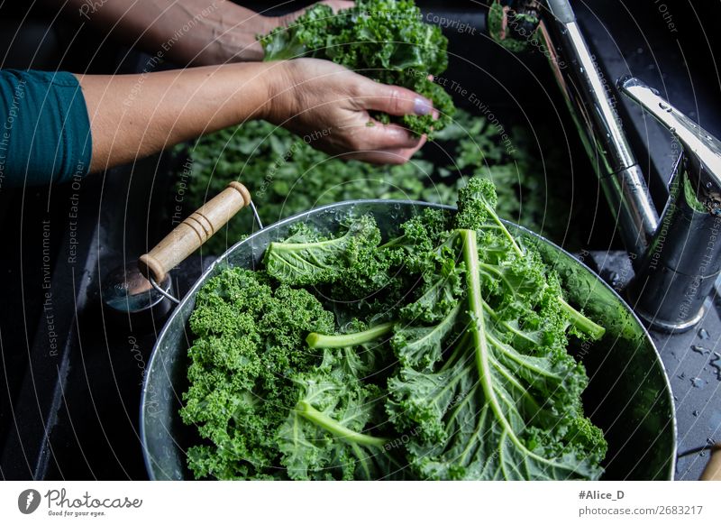 Wash green cabbage Food Vegetable Lettuce Salad Cabbage Kale Kale leaf Nutrition Organic produce Vegetarian diet Diet Fasting Bowl Lifestyle Healthy Eating