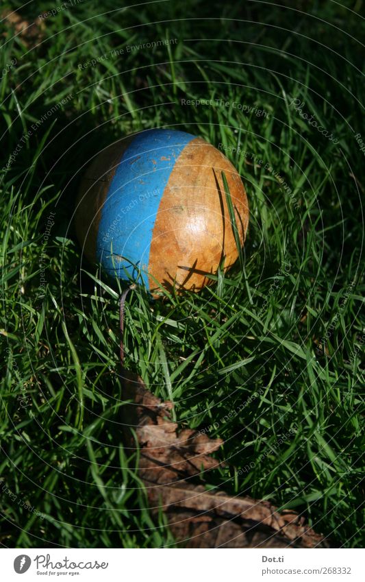 croquet Leisure and hobbies Nature Grass Sphere Stripe Retro Round Blue Croquet wooden ball Old fashioned Painted Colour photo Exterior shot Close-up