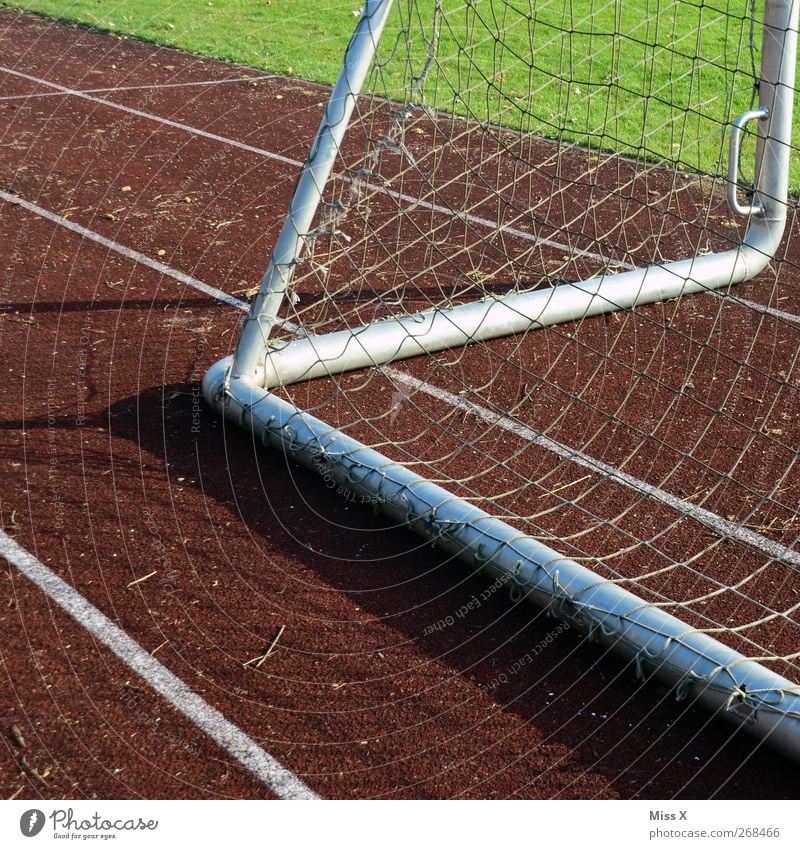 Bitch Zacke Leisure and hobbies Playing Sports Soccer Sporting Complex Football pitch Stadium Racecourse Grass Goal Net Colour photo Exterior shot Abstract