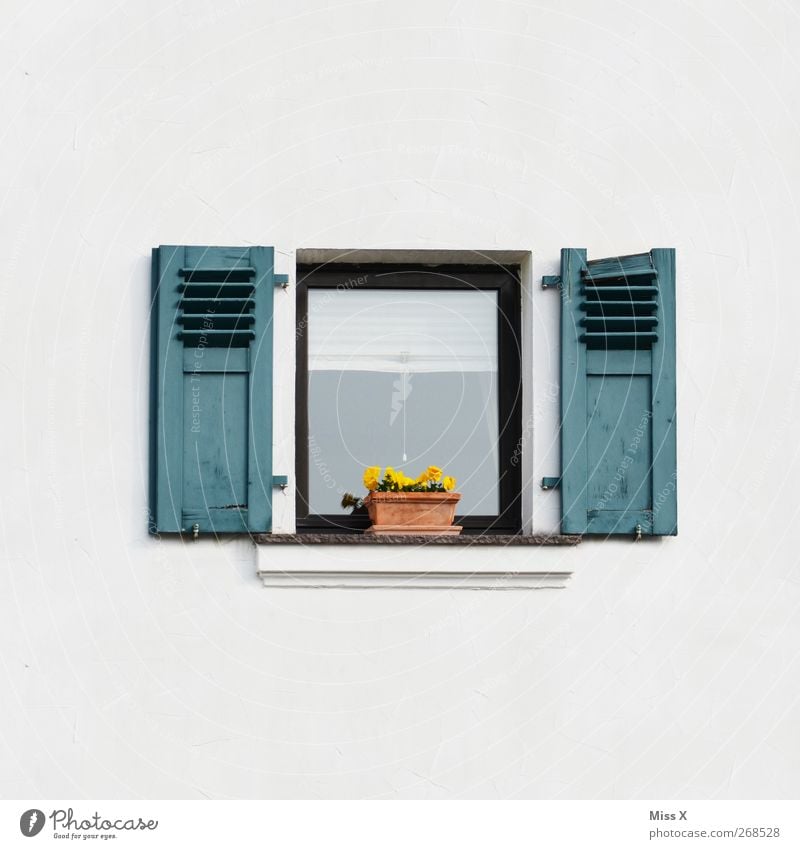 with decoration Flower Pot plant Wall (barrier) Wall (building) Window Small Shutter Window board Flowerpot Pansy Decoration Colour photo Exterior shot Deserted