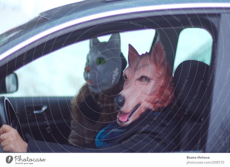 200 ... No risk, no fun! Masculine Feminine Head Eyes Ear Nose Mouth Human being Car Coat Fur coat Cat Animal face Wolf Driving Happy Blue Brown White Emotions