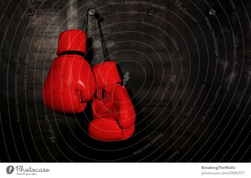 Red leather boxing gloves hanging on black wall Sports Fitness Sports Training Martial arts Leather Hang Dark Black Aggression Competition Boxing Hanging