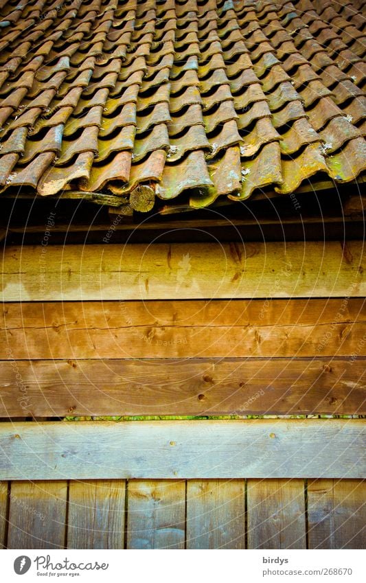 old style Hut Facade Roof Old Authentic Original Positive Warmth Brown Wooden wall Barn Roofing tile Tiled roof Nostalgia Wooden hut Undulation Colour photo