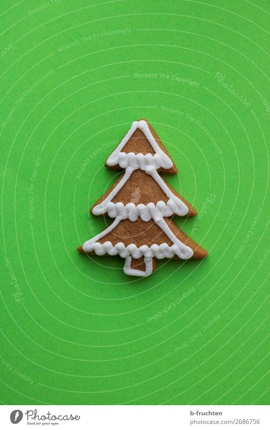 oh fir tree Dough Baked goods Candy Feasts & Celebrations Christmas & Advent Tree Paper Select Happiness Crazy Green Gingerbread Structures and shapes