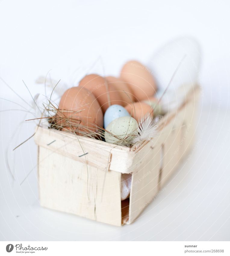 Eggs in basket Food Nutrition Breakfast Restaurant Easter Farm animal Barn fowl Box Brown White eggs peasant Agriculture Feather Straw ostrich egg Rooster