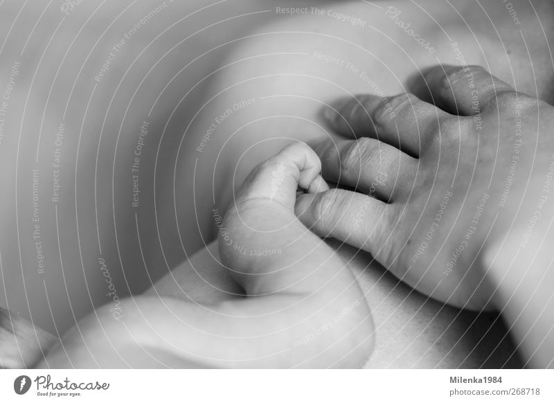 small hand and big hand Human being Feminine Baby Woman Adults Mother Hand 2 0 - 12 months Happy Small Emotions Moody Trust Safety Protection Responsibility