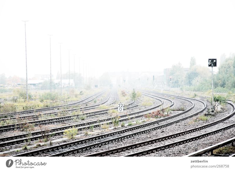 bright Environment Nature Landscape Climate Climate change Weather Fog Transport Means of transport Traffic infrastructure Rail transport Train travel