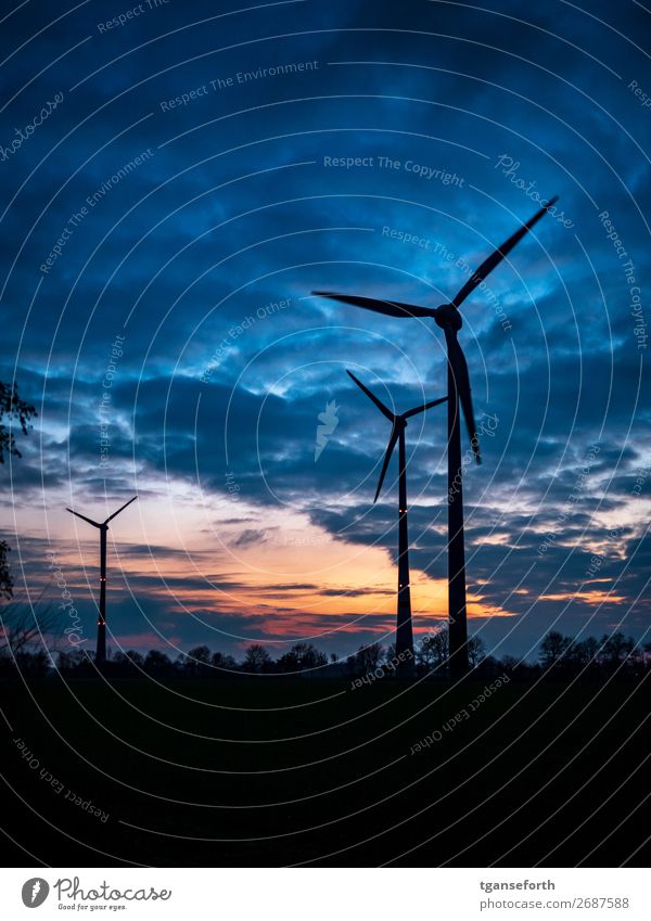 Energy Economy Energy industry Technology High-tech Renewable energy Wind energy plant Industry Landscape Sky Clouds Sunrise Sunset Industrial plant Tower