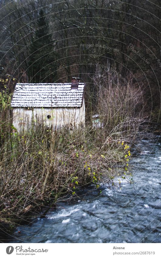 retreat Winter Snow Forest Brook Edge of the forest Village Outskirts Deserted House (Residential Structure) Hut Dark Simple Creepy Small Blue Gray Black