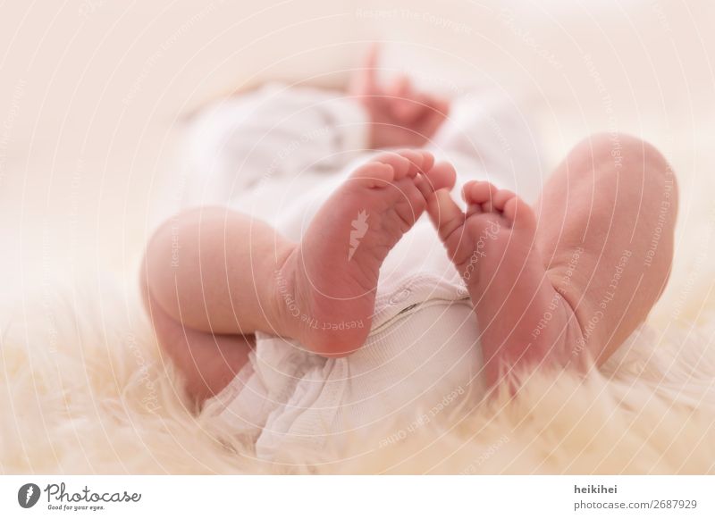the second week of life Happy Body Human being Feminine Baby Hand Bottom Legs Feet 1 0 - 12 months Love Lie Fantastic Near Natural New Cute Beautiful White