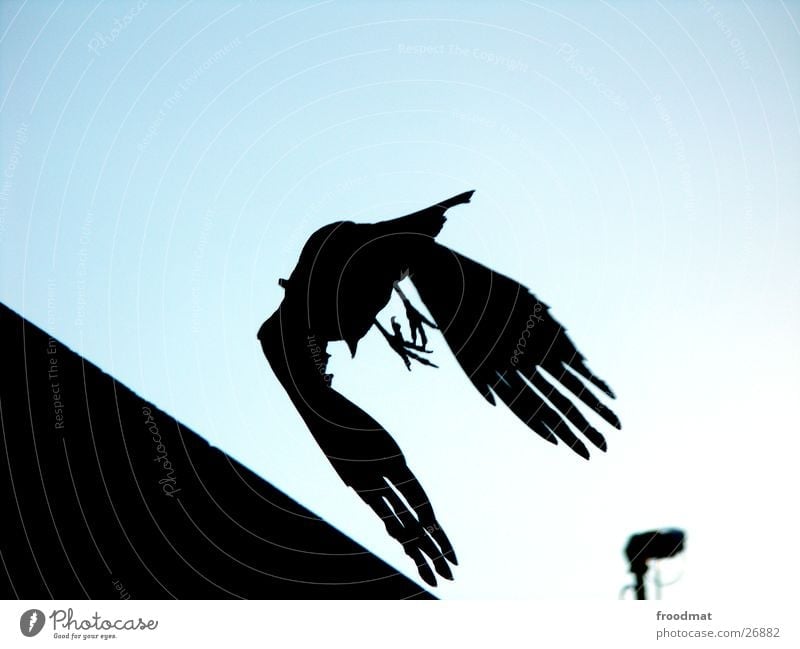 Take off Bird Crow Lamp Transport Flying Wing Shadow Silhouette Sky Corner