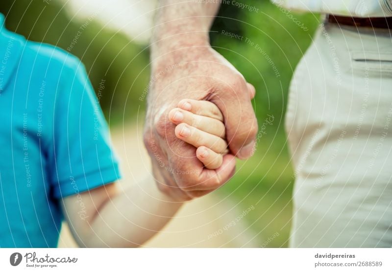 Child holding hand of senior man in the nature Life Retirement Human being Boy (child) Man Adults Father Grandfather Family & Relations Hand Nature Old Love