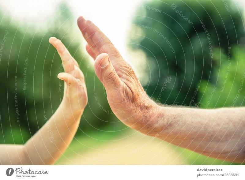 Child and senior man hands giving five in the nature Skin Life Retirement Human being Baby Boy (child) Man Adults Parents Father Grandfather Family & Relations