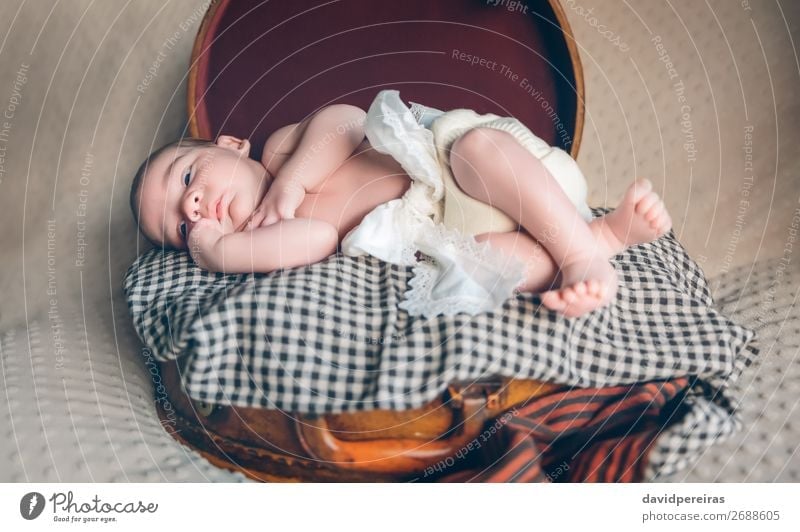 Newborn baby resting lying above of travel suitcase Joy Beautiful Body Skin Face Life Relaxation Vacation & Travel Child Human being Baby Boy (child) Infancy