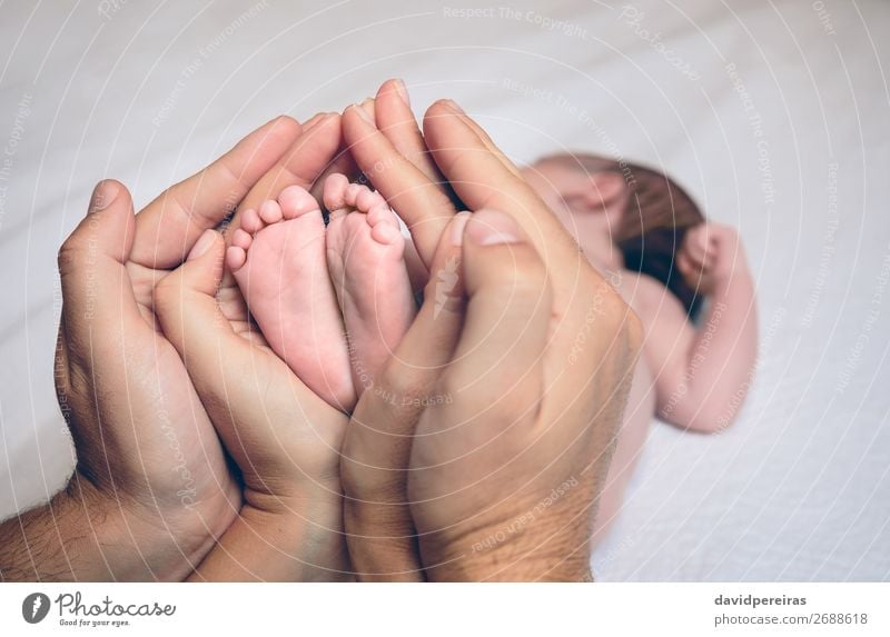 Parents hands holding feet of newborn lying over bed Beautiful Skin Life Bedroom Child Human being Baby Adults Mother Father Family & Relations Infancy Hand