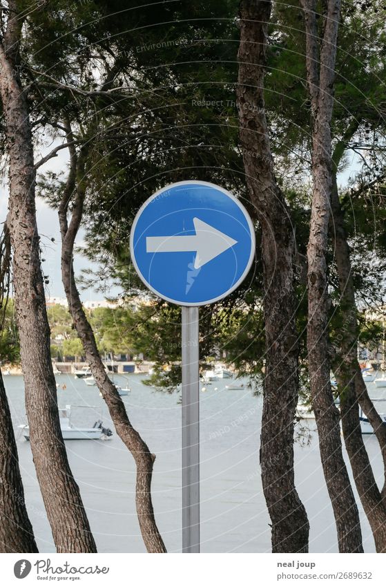 Direction beach Vacation & Travel Trip Tree Coast Ocean Mediterranean sea Majorca Fishing village Transport Road sign Arrow Driving Blue Optimism Beginning