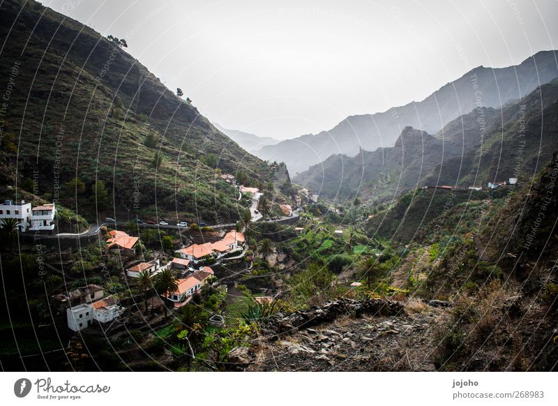 mysterious mountain village Environment Nature Landscape Plant Fog Mountain Gomera Village Esthetic Exceptional Dark Beautiful Emotions Moody Happy