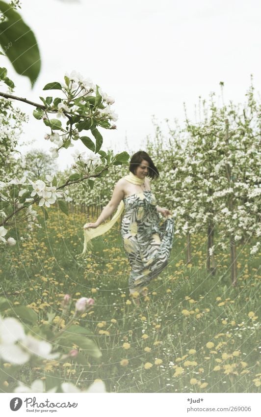 pollen Woman Adults Life 1 Human being Nature Plant Spring Beautiful weather Blossom Meadow Field Dress Blossoming Fragrance To enjoy Smiling Dream Growth