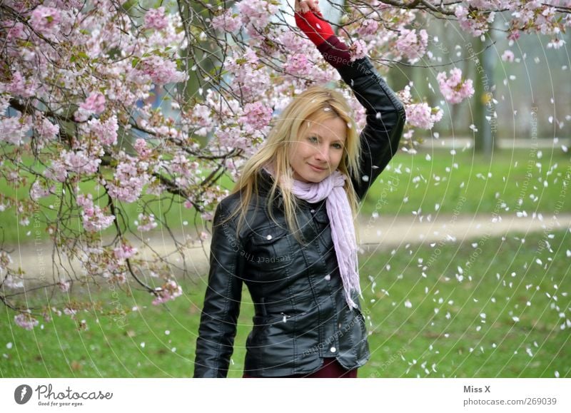 Pink Rain Human being Feminine Woman Adults 1 18 - 30 years Youth (Young adults) Nature Plant Spring Tree Blossom Garden Park Blonde Beautiful Cherry blossom