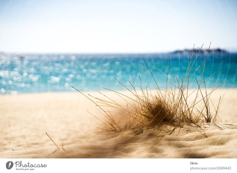 beach day Beach Sand Sun Vacation & Travel Warmth Ocean Sky Grass Majorca