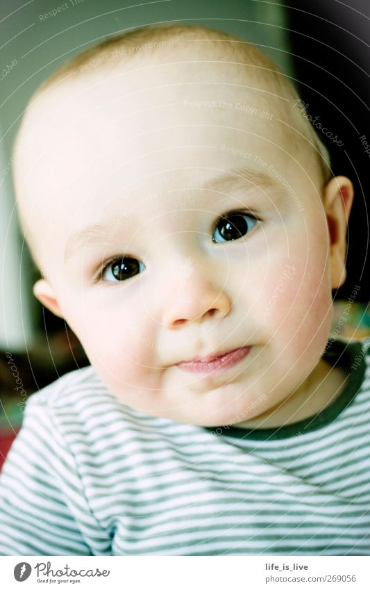 suppp!!! Masculine Baby Toddler Head 1 Human being 0 - 12 months Brunette Short-haired Looking Brash Serene Infancy Brown eyes direct look Colour photo