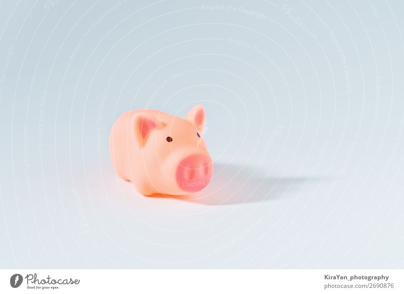 ?ute little piggy on white background as symbol of 2019 Style Happy Decoration Feasts & Celebrations New Year's Eve Financial Industry Business Animal Paper