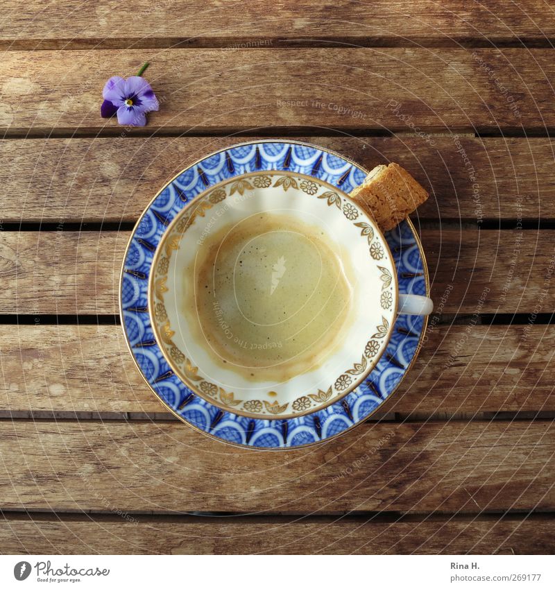 coffee break Dough Baked goods Candy Hot drink Coffee Crockery Cup Style Living or residing Blossom Relaxation Blue Cookie Wooden table Colour photo