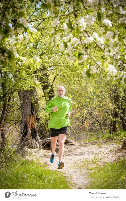 Senior Man Running in the Forest Apple Lifestyle Happy Leisure and hobbies Summer Sports Jogging Human being Adults Nature Tree Flower Blossom Park Old Fitness