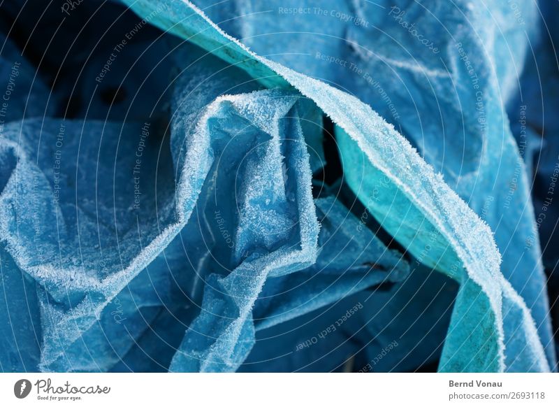 hoarfrost Plastic Cold Trash Garbage bag Dispose of Winter Blue Folds Plastic bag Abstract Colour photo Exterior shot Close-up Deserted Day