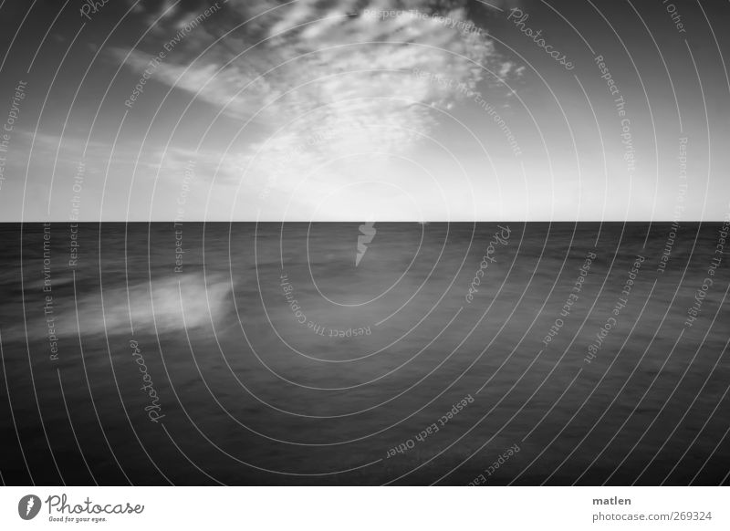 shoal Nature Landscape Water Sky Clouds Waves Black White Black & white photo Exterior shot Deserted Copy Space right Copy Space bottom Day Blur