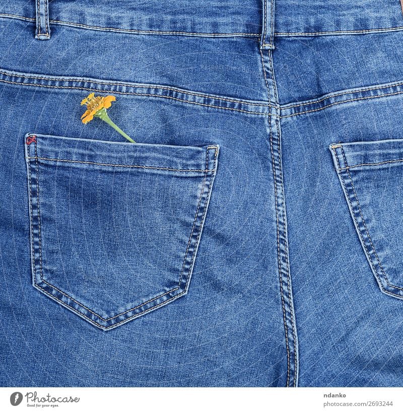 yellow flower in the back pocket of blue jeans Style Design Plant Blossom Fashion Clothing Jeans Old Blossoming Natural Blue Yellow Colour background casual