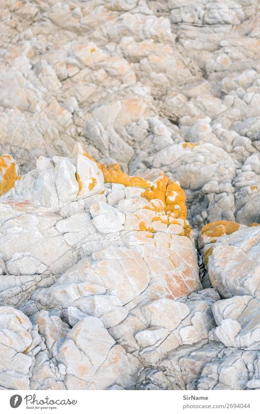 430 [rock tender] Mountain Environment Nature Landscape Elements Coast Lakeside Reef Stone Esthetic Yellow White Eternity Idyll Pure Change Moss Lichen Rock