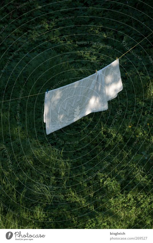 washing day Washing day Laundry Clothesline Bedclothes Grass Meadow Clean Green White Colour photo Exterior shot Deserted Copy Space top Copy Space bottom