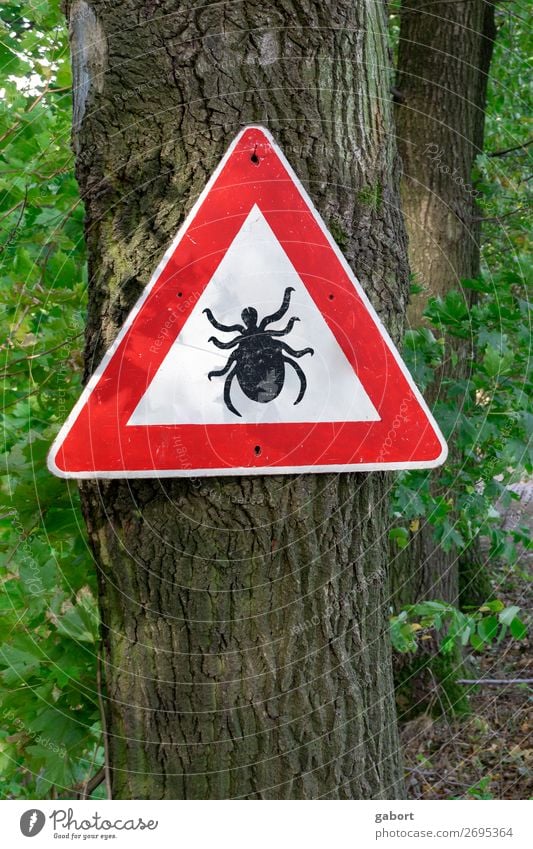 tick insect warning sign in forest Nature Hiking Green Red lyme Quirk disease parasitic Ixodes borreliosis ricinus danger arachnid arthropod pestilence
