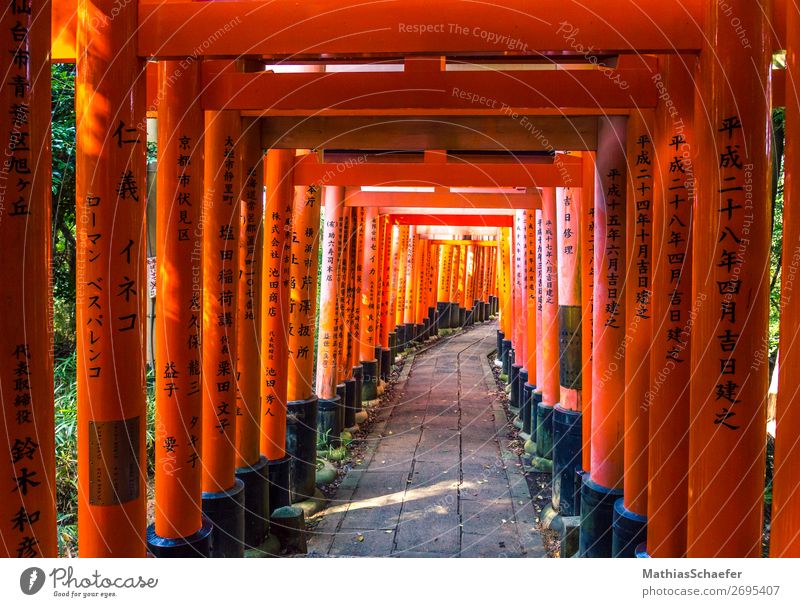 1000 Torii Harmonious Calm Meditation Architecture Church Dome Exotic Infinity Sustainability Curiosity Red Interest Belief Respect Vacation & Travel