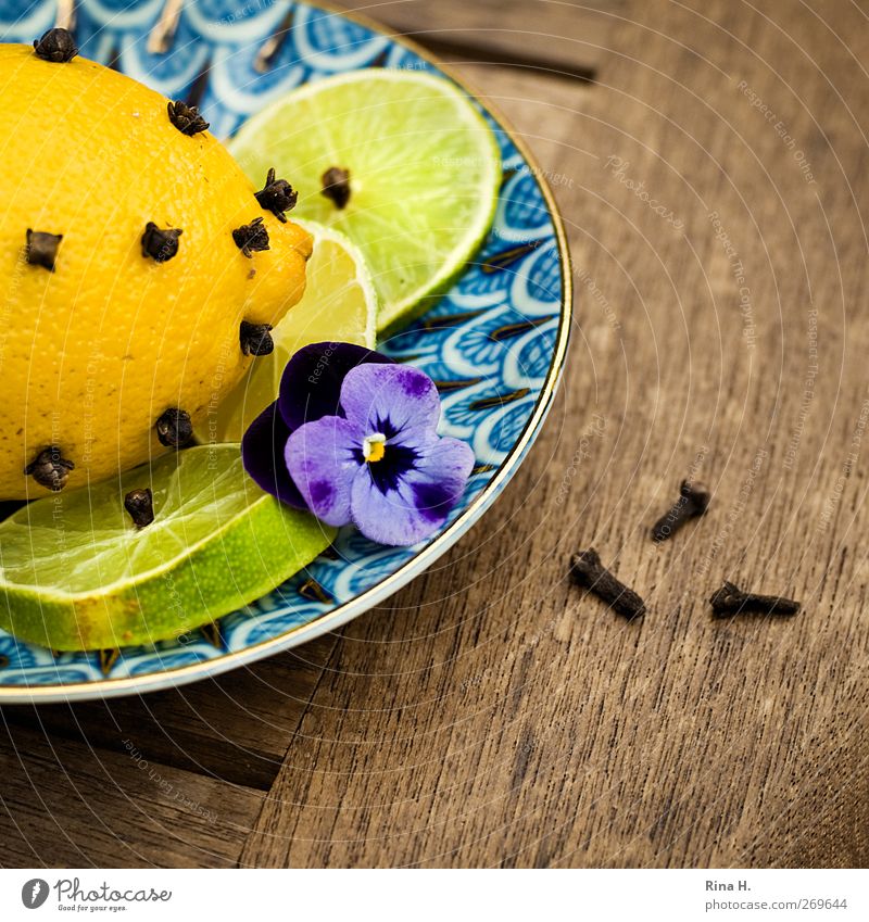 BioWeapon Lemon Lime Clove Seed Plate Living or residing Environment Spring Blossom Fragrance Blue Yellow Biological Insect repellent Wooden table Colour photo