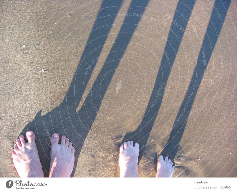 Near-along Beach Ocean Toes Wet Damp Dirty Water Sand Feet Shadow Legs Barefoot