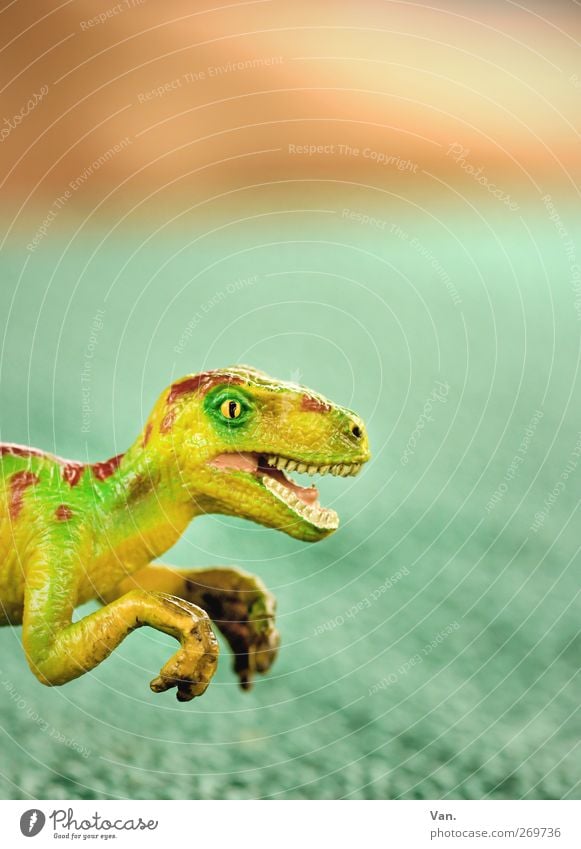 100* Jurrasic Park - a Royalty Free Stock Photo from Photocase