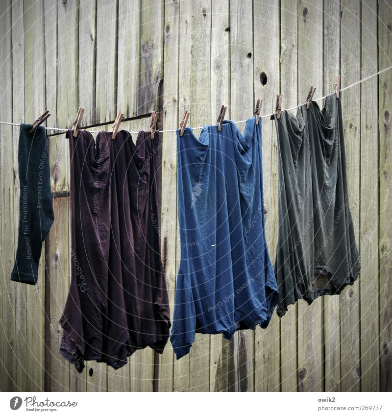 slope Wall (barrier) Wall (building) Facade Wooden wall Clothing T-shirt Workwear Stockings Clothesline Clothes peg Movement Hang To swing Wait Poverty Together