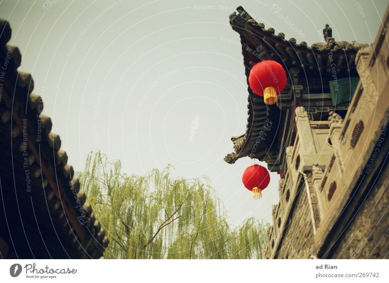 red dots Sky Cloudless sky Spring Beautiful weather Tree Foliage plant Pingyao China Village Small Town Downtown Old town Skyline Deserted