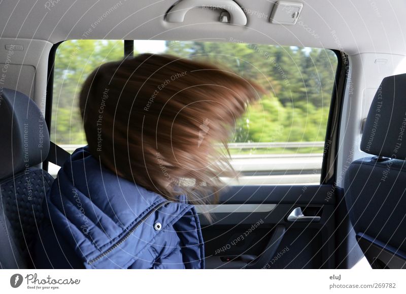 emergency braking Vacation & Travel Youth (Young adults) Hair and hairstyles 1 Human being Motoring Highway Car Driving Blue Brown brake Colour photo