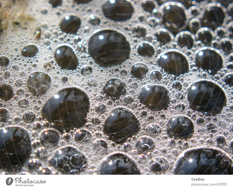 vesicle Reflection Foam Round Dark Black Wet Damp Bubble Water Drops of water whirled up Nature Close-up