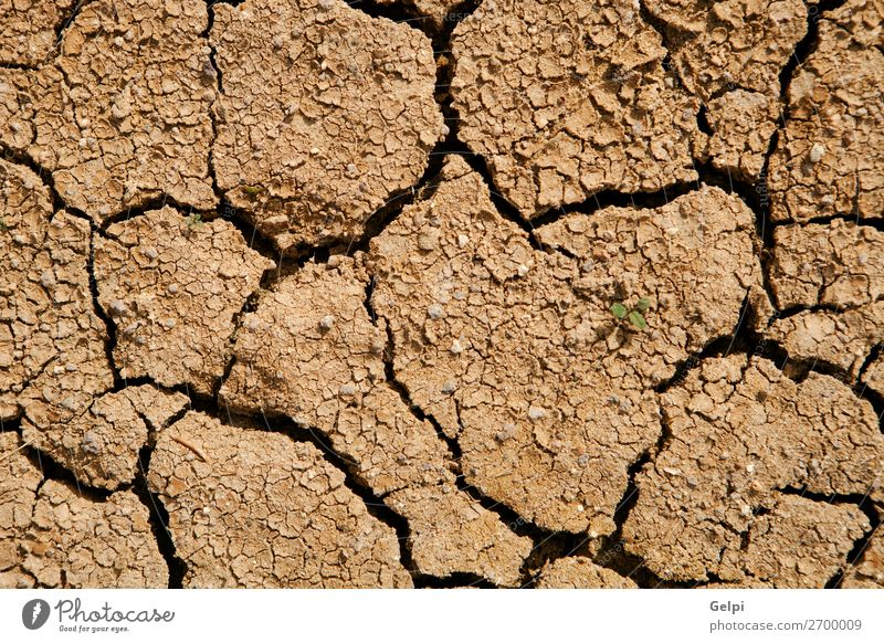 Texture cracked, dry the surface of the earth. Summer Sun Environment Nature Earth Sand Climate Climate change Weather Drought Dirty Hot Natural Brown Death