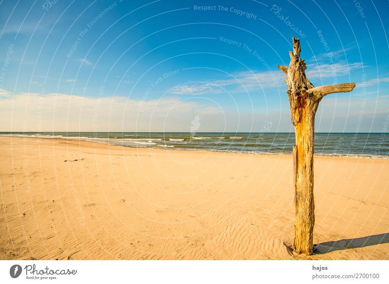 lonely beach of the Baltic Sea Vacation & Travel Summer Beach Nature Sand Sky Clouds Blue Brown Multicoloured Idyll Ocean Baltic beach Lonely Empty paradise
