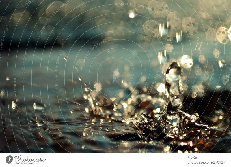 water forms Environment Nature Elements Water Drops of water Sunlight Exceptional Fluid Glittering Beautiful Wet Wild Blue White Inject Splashing