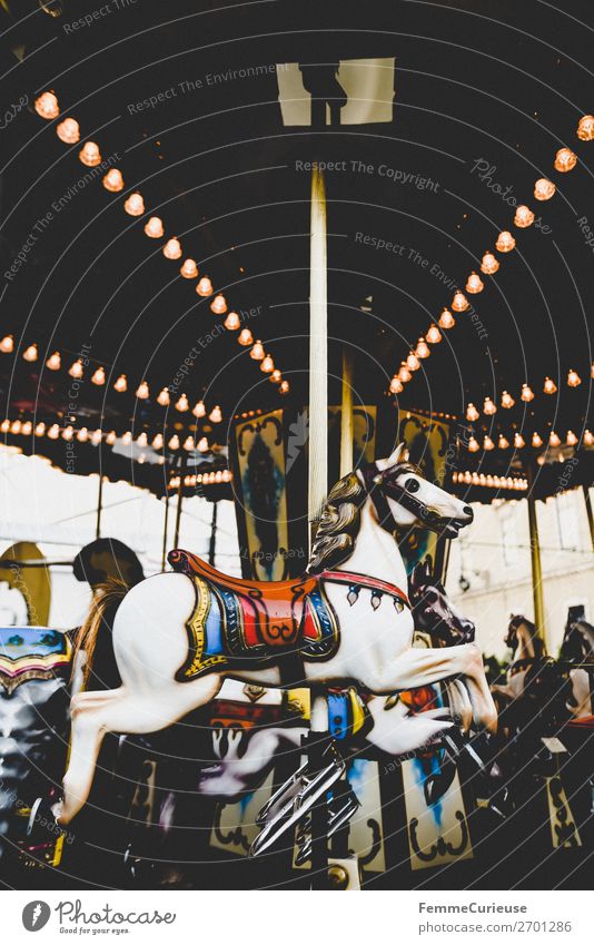 Illuminated horse carousel Leisure and hobbies Movement Hobbyhorse Carousel Electric bulb Lighting Multicoloured Attraction Fairs & Carnivals Colour photo